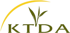 KTDA